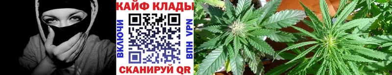 Сколько стоит Лянтор COCAIN  kraken зеркало  A PVP  Гашиш  МДМА  Мефедрон  МАРИХУАНА 