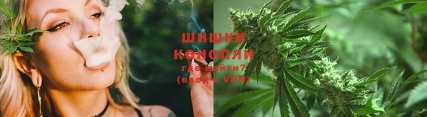 СК Арсеньев