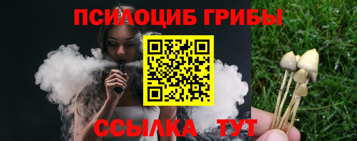 Галлюциногенные грибы Psilocybine cubensis Лянтор